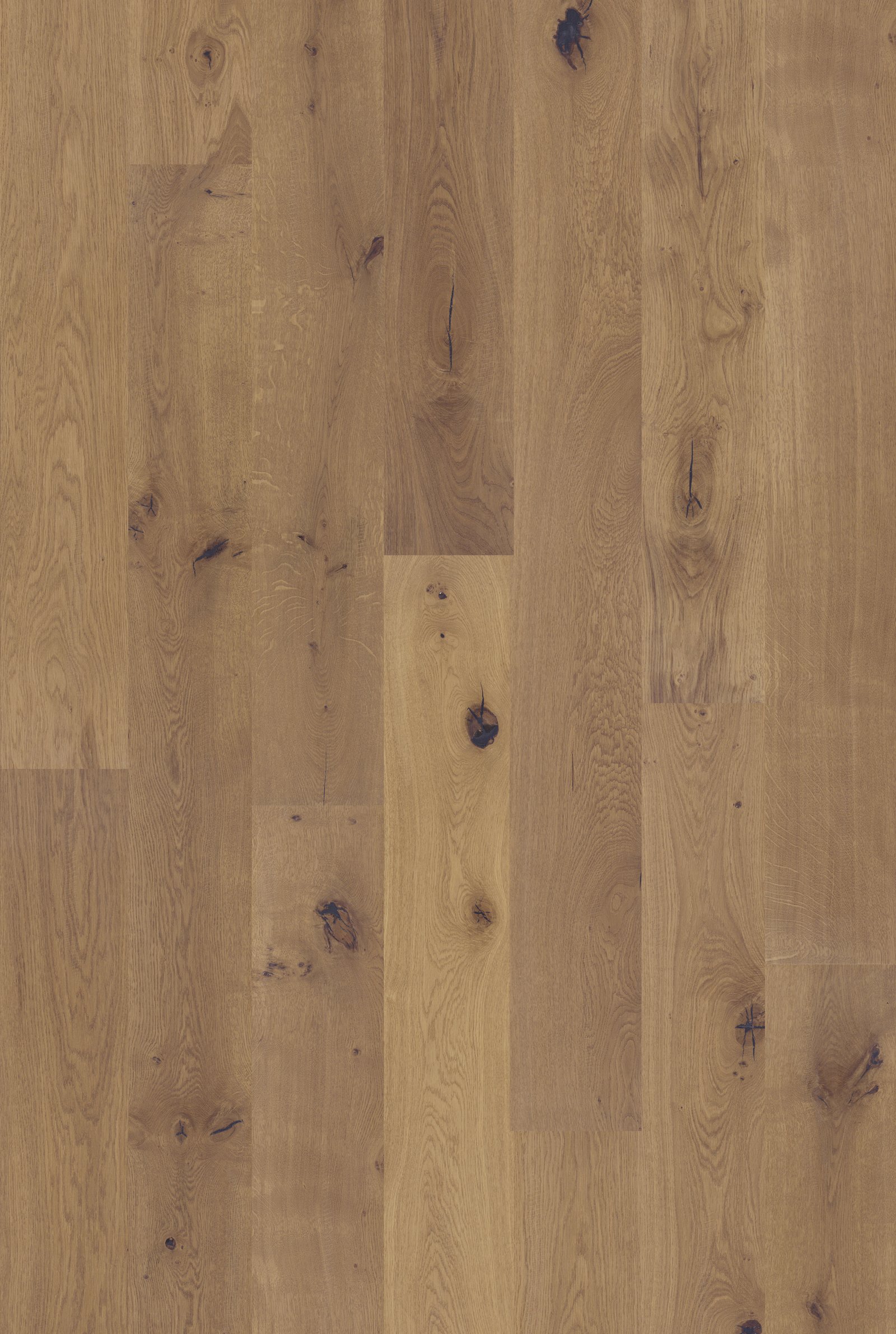 Carmel Signature flat flooring sample