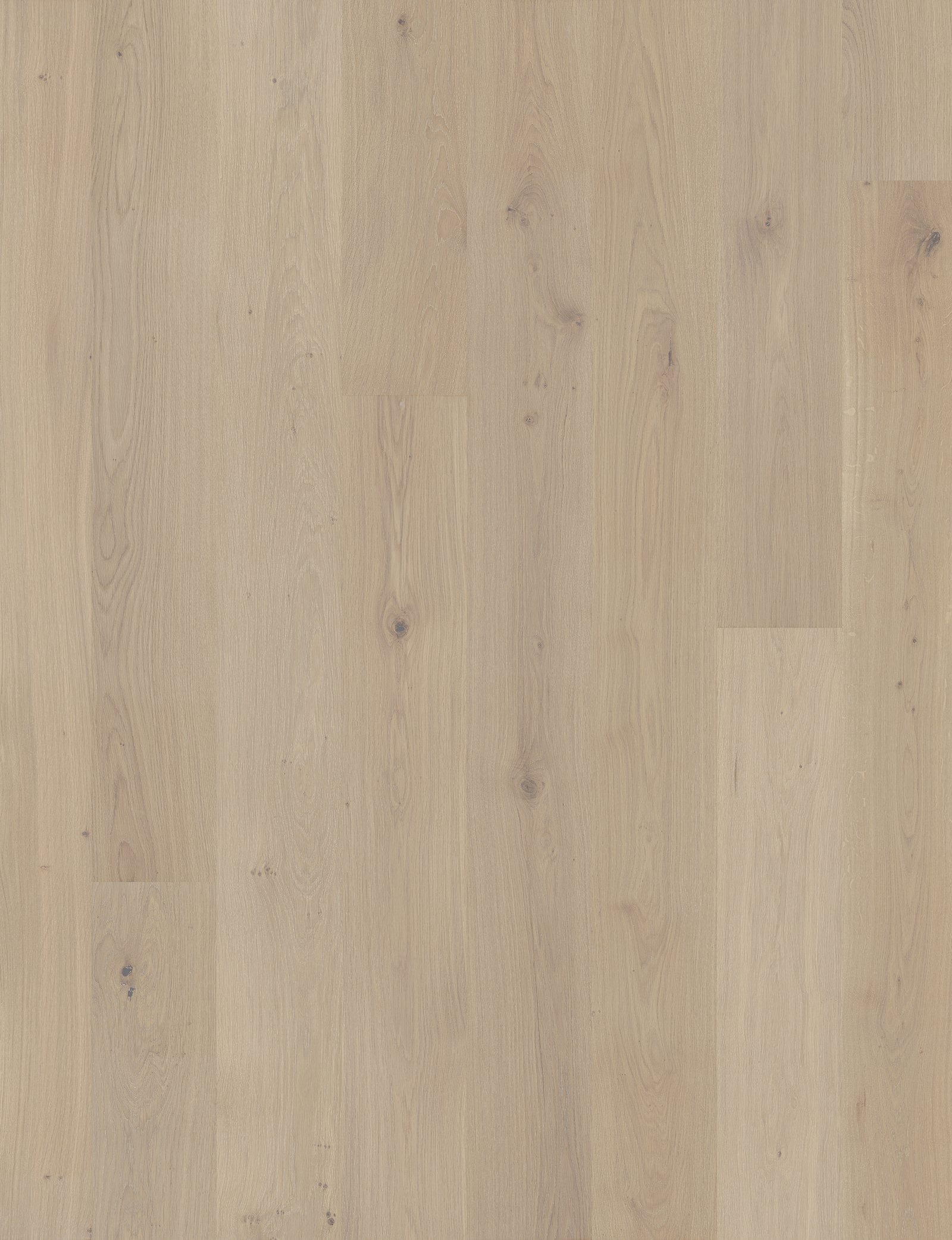Harbor Signature flat flooring sample